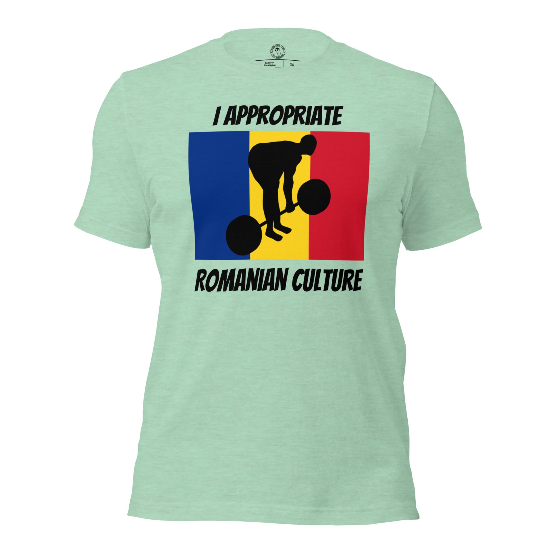I Appropriate Romanian Culture RDL Shirt in Heather Prism Mint
